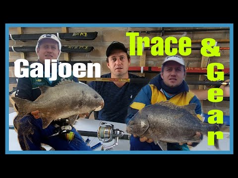 How To MAKE A GALJOEN TRACE! What TACKLE TO USE FOR GALJOEN! MY EDIBLE FISH SCRATCHING SETUP! ZLF
