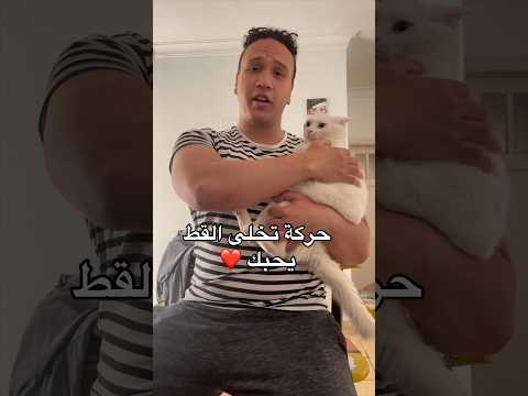 فيديو: ماذا تفعل عندما يمسك قطك بالماوس؟