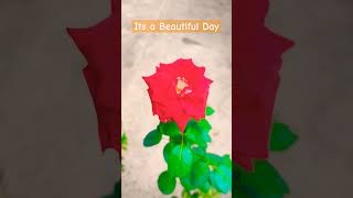 Welcome To Sri Lanaka