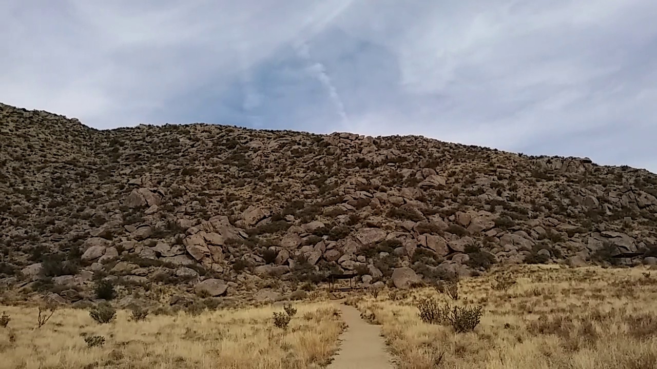 camera iphone 8 plus apk Eastern mountains of Albuquerque