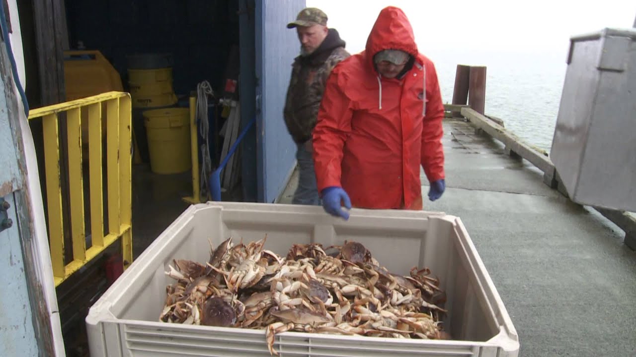 Grant's Getaways Winter Crabbing in Oregon YouTube