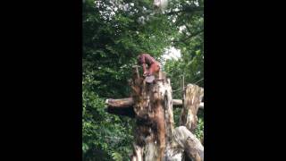 EBS.wmv