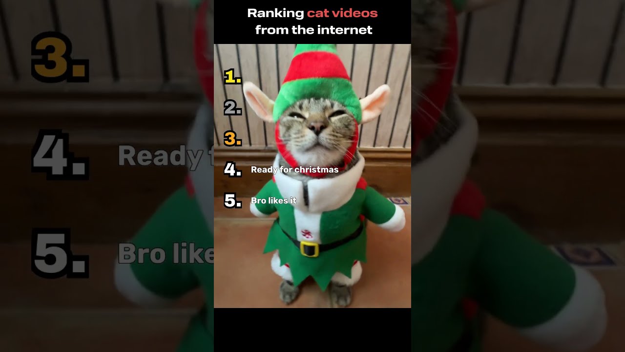 Ranking cat videos from the internet 