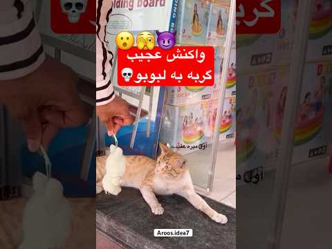 لبوبو عروسک ترند و عجیب این روزاشده لبوبو   عروسک ترند  