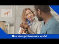 How does pet insurance from nationwide work