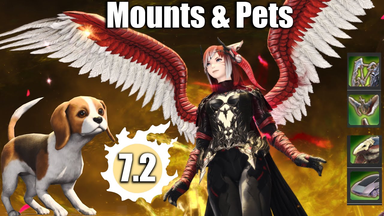 All 7.2 Mounts, Pets & How To Get Them