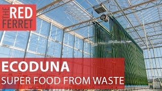Ecodunanew microalgae tech produces super food from waste [Special Report]