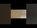 العجمي الهانوفيل اسكندريه 01280246772