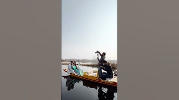 #kashmirinature #prewedding #dallake
