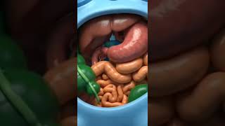 Appendix issue