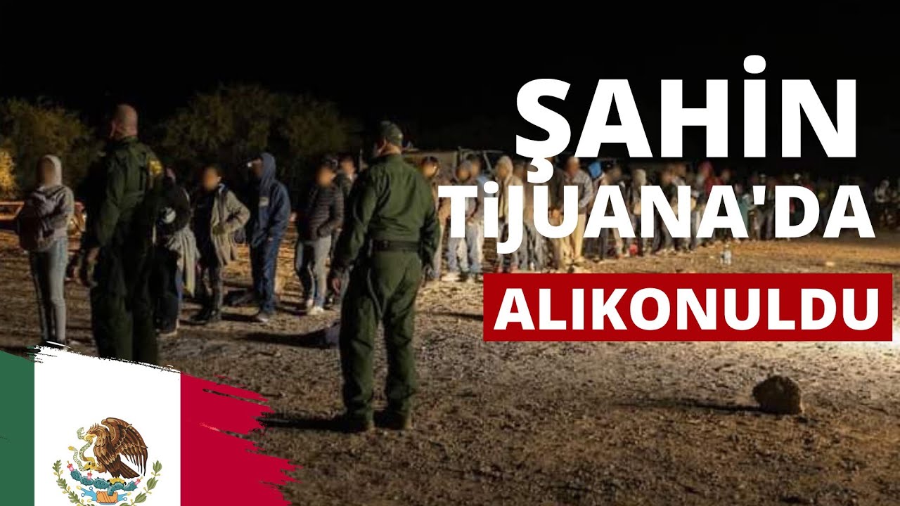 Meksika da şahin e ulaşamıyoruz #meksika #latinamerika