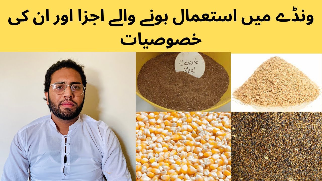 Ingredients Used in Wanda || ونڈے میں استعمال ہونے والے اجزا || Feed Formulation || Feeding Formula