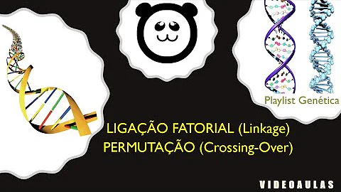 Quando ocorre o fenômeno conhecido como permutação cromossômica?