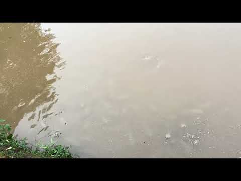 July 11 Balkasin Lake Fishing Competition ni na•tokrang aro rama mesokatani 