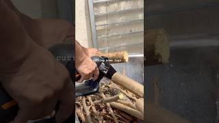 Using Worx Prunning Saw to cut some logs 🪵. Unboxing coming soon. 📦 ✂️ #worx #powertools Using Worx Prunning Saw to cut some logs 🪵. Unboxing coming soon. 📦 ✂️ #worx #powertools