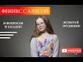 Феникс #14. С Алисой. Вопросы, загадки и головоломки.