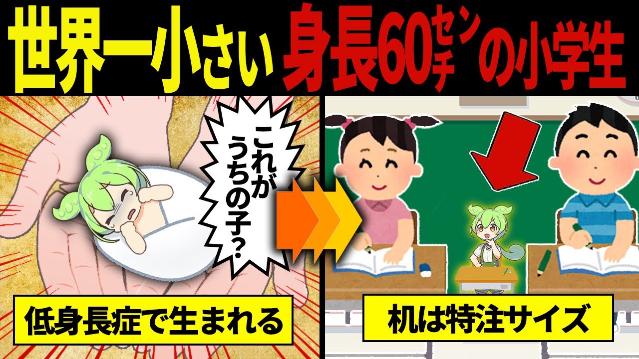 【実話】低身長症により身長60cmになったずんだもん【ずんだもん&ゆっくり解説】
