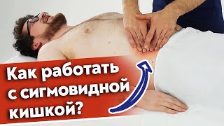 Как поддерживать сигмовидную кишку в порядке? / Сигмовидная кишка человека