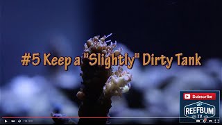 Top 10 Tips For Keeping a SPS Reef Tank screenshot 4