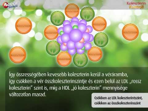 Videó: A Koleszterin Növényi Forrásai