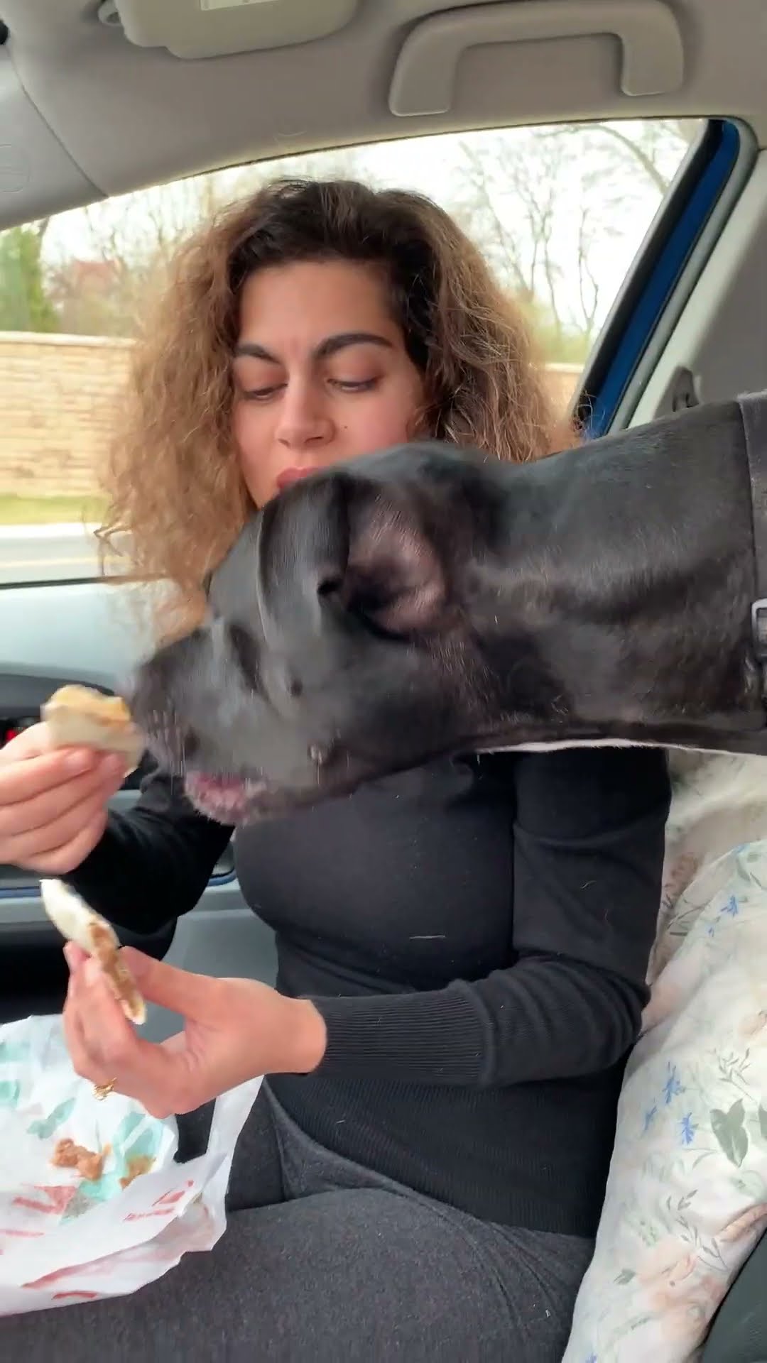 Dog Shakes Every Time She Hears Her BF Name | The Dodo