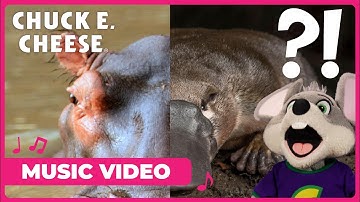 Hippoplatypus🐭🦛🦆| Silly Chuck E. Cheese Music Video 🎶🎥