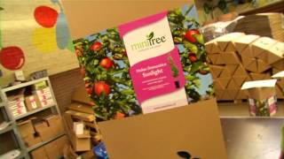 MiniTree, introductiefilm