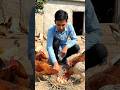 गांव में शुरू किया देसी मुर्गा पालन 🐔 | देसी फार्मिंग का कमाल (AI Video)