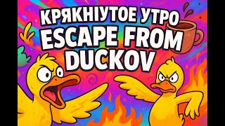 видео: Крякнутое утро!   ПРОХОЖДЕНИЕ ESCAPE FROM DUCKOV картинка: Крякнутое утро!   ПРОХОЖДЕНИЕ ESCAPE FROM DUCKOV