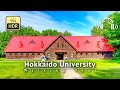 Hokkaido University Early Summer 2023 Walking Tour - Hokkaido Japan [4K/HDR/Binaural]