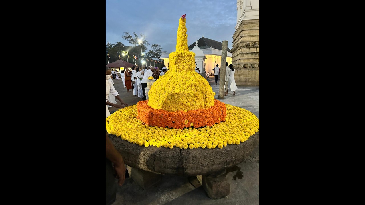 මහා සෑයට සිදුකල මල් පූජාව 2026.02.10