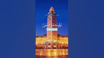 تلاوة خاشعة تأسر القلوب بجمالها من سورة الحشر بصوت الشيخ عمر القزابري
