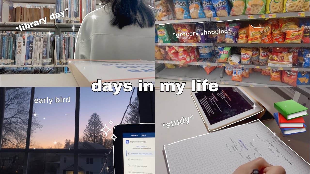 days in my life ☁️ wake up at 5, study, library day, grocery shopping, no school days