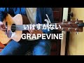 "いけすかない" by Grapevine (cover)