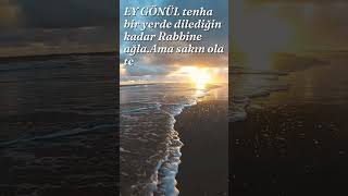 Ey Gönül Tenha Bir Yerde Dilediğin Kadar Rabbine Ağla.