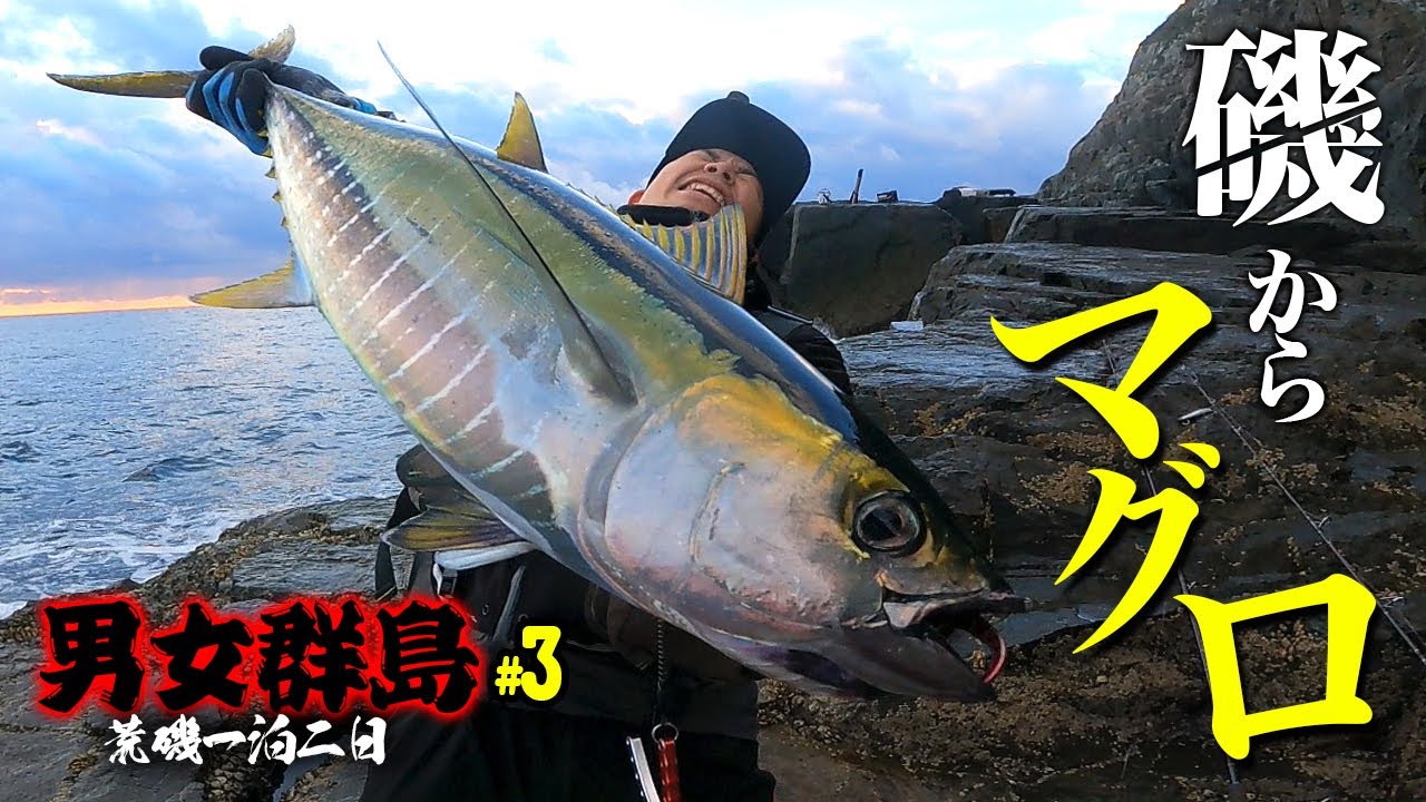 マグロが釣れたルアー ルアーでマグロが釣れた‼ - YouTube