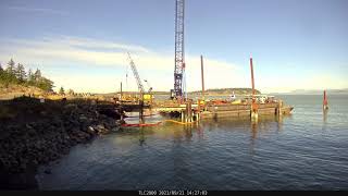 Aiston Preserve Dock and Piling Removal September 2021