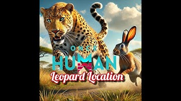 Leopard Location Once Human Updates 2.2.1