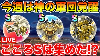 【ドラクエウォーク】今週の目玉は神の軍団3覚醒!! Sのこころ準備はOK!?【DQW】
