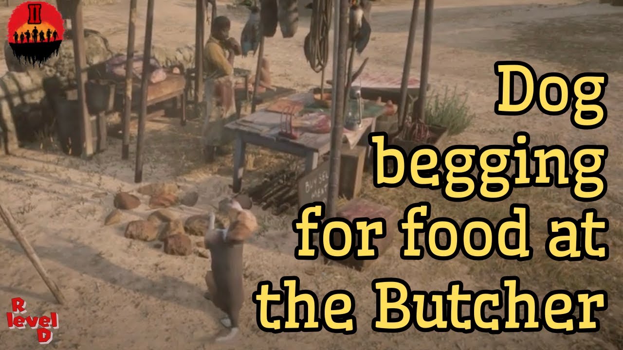 Dog begging for food at the Butcher #RDR2 #Story #Epilogue - YouTube