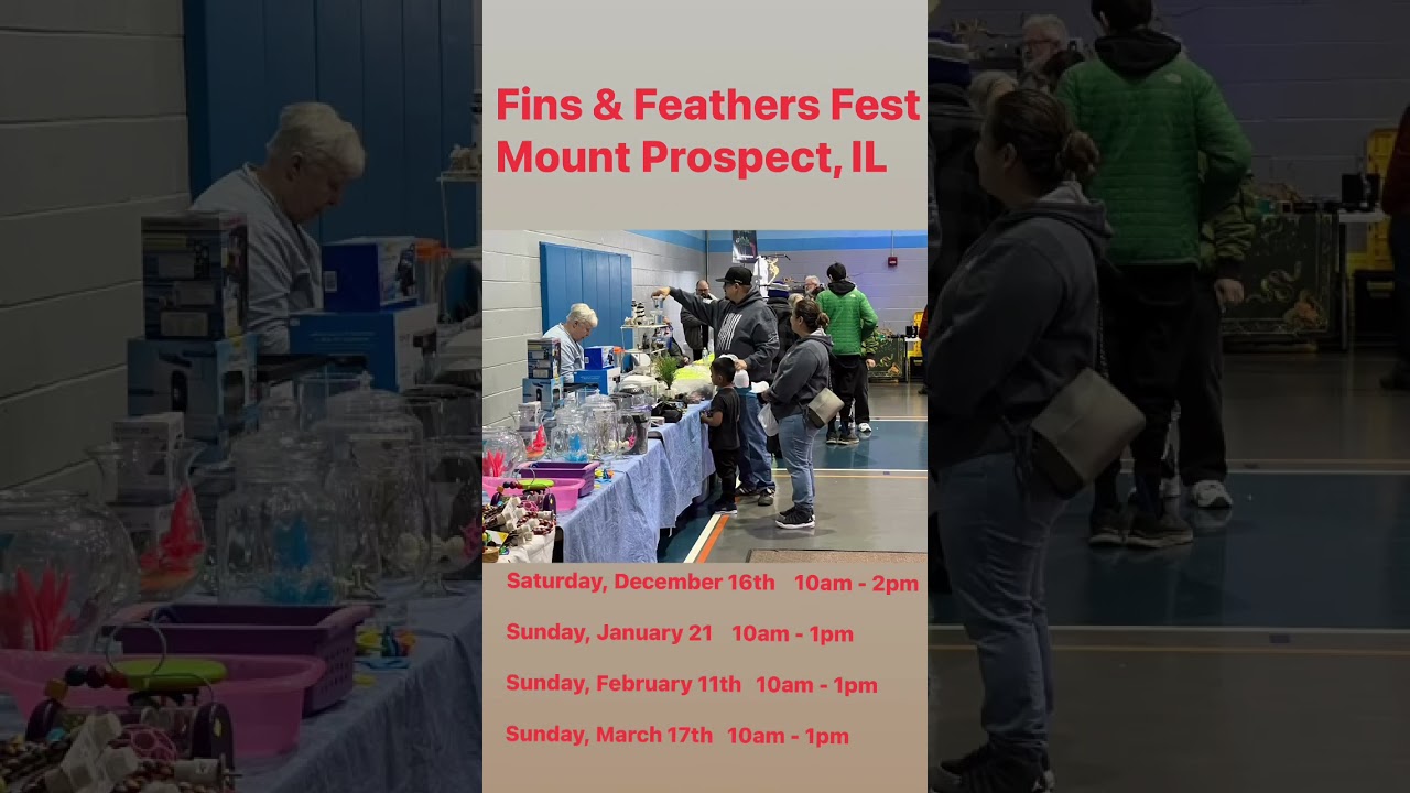 Fins & Feathers Fest Mount Prospect, IL