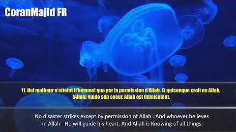 Yasser Al Zailay Sourate At Taghabun ياسر الزيلعي سورة التغابن