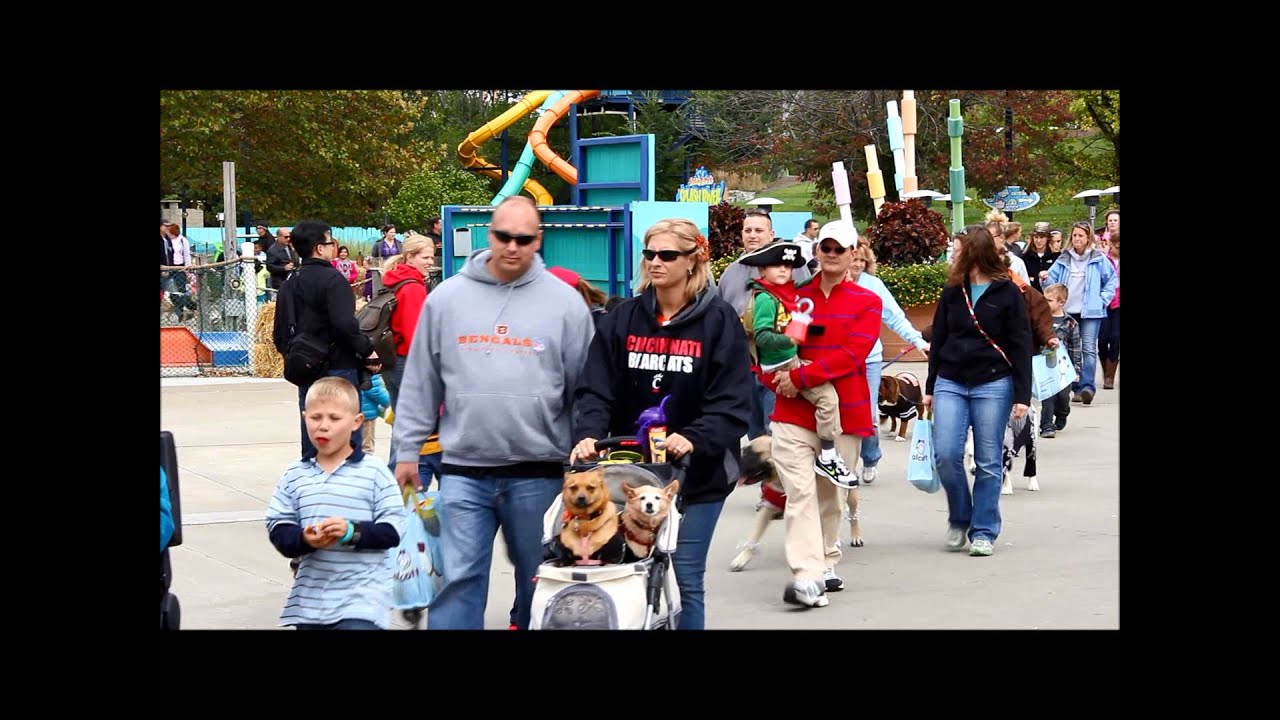 Dog Days at Kings Island YouTube