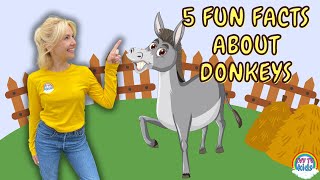 Fun Facts About Donkeys | Fun Facts On The Farm | IVY TV KIDS!