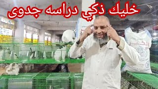 سلسله المربي الذكي ٢ دراسه جدوى ٤ امهات و ذكر وسلاكه  و ٤ شكاير علف،٣٢١