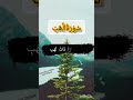 111 Sura Tul Lahab Sorah Lahab سورۃ الھب القرآن