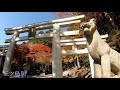 埼玉 紅葉に彩られた本殿から奥宮までパワースポットを徹底解説『三峰神社』世界一わかりやすい神社参拝❗️