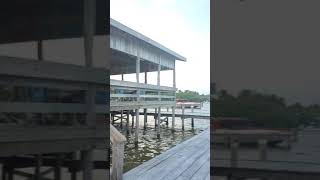 Download Lagu Drink at a Palapa bar anyone? MP3