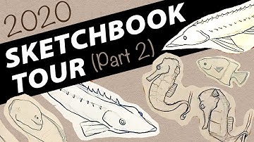 My 2020 Sketchbook Tour: Part 2 | Shedd Aquarium Sketches & Colerase Pencil Drawing