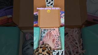 Imagine opening this box... 👀 #shorts #portrait #petlover #painting #giftideas